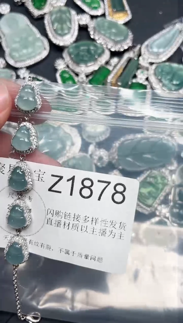 【闪购商品】翡翠颈饰未镶嵌赠皮绳1878