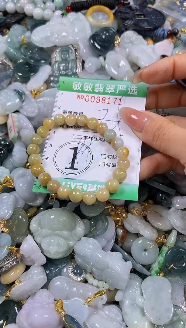 【闪购商品】翡翠颈饰未镶嵌闪购0098171