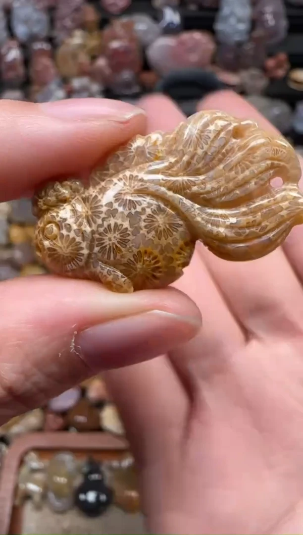 颈饰未镶嵌硅化珊瑚（珊瑚玉）618