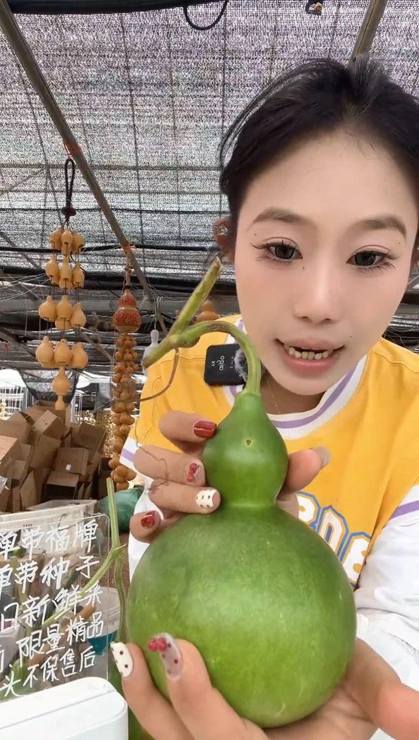 834天然葫芦摆件 一物一拍龙头不保售后微瑕疵