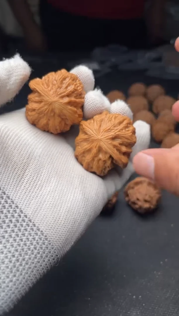 核桃a250    铁锤39尺