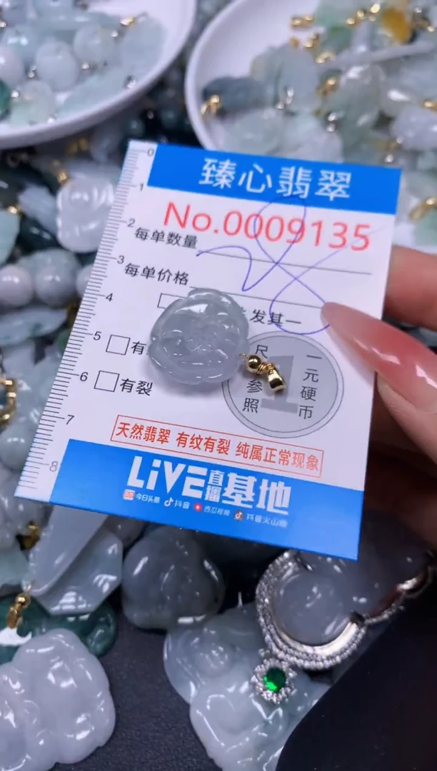 【闪购商品】翡翠颈饰未镶嵌含绳0009135