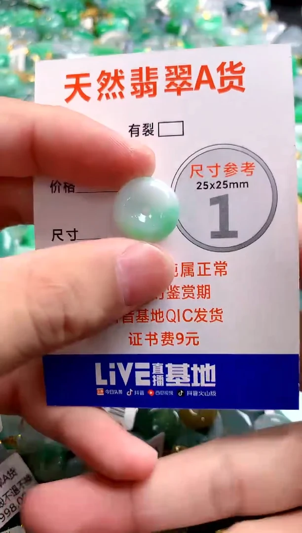 颈饰未镶嵌翡翠13006268