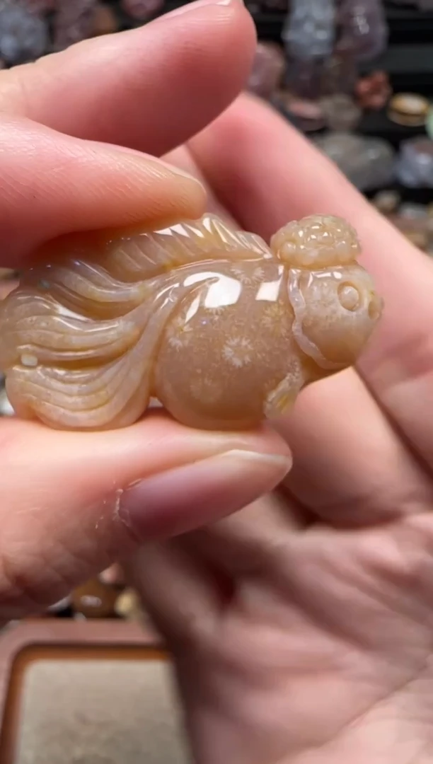 颈饰未镶嵌硅化珊瑚（珊瑚玉）834