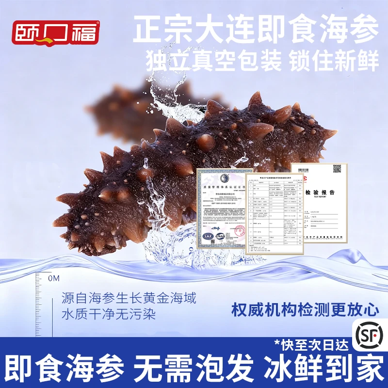 大连即食海参2斤 12-15只/1斤