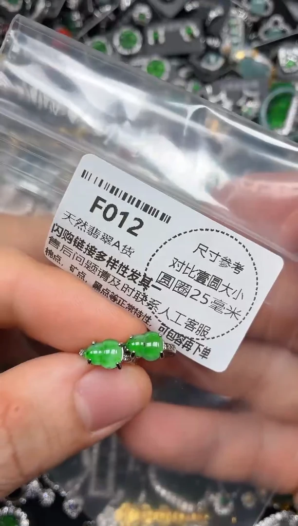 颈饰未镶嵌翡翠F012耳扣
