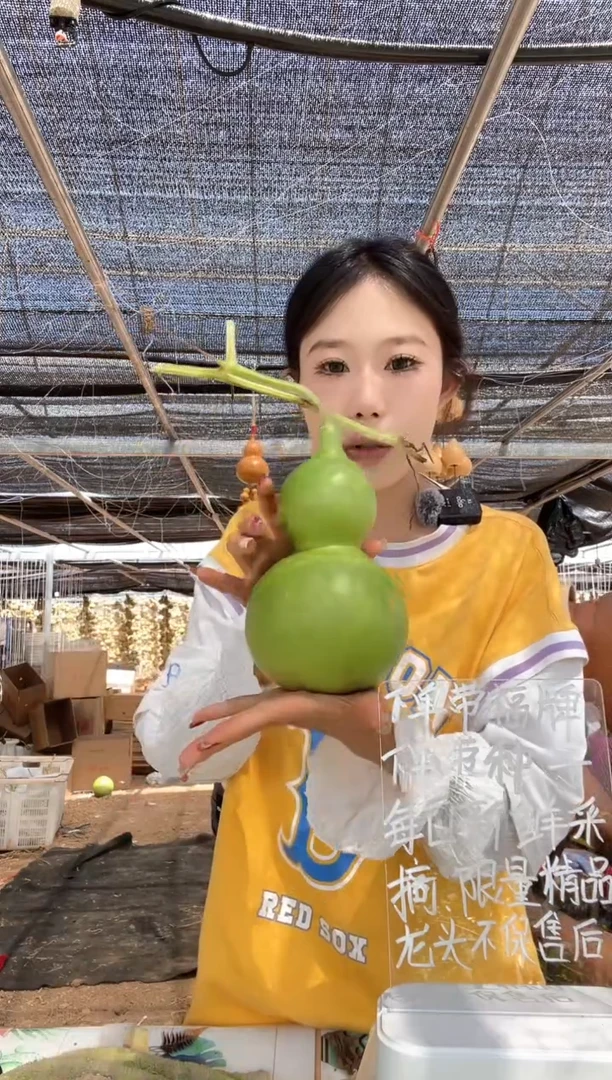 496天然葫芦摆件 一物一拍龙头不保售后