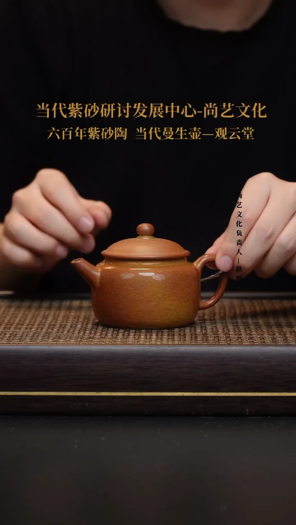 茶壶紫砂宜兴紫砂 紫砂壶  FWH 柴烧 笠帽