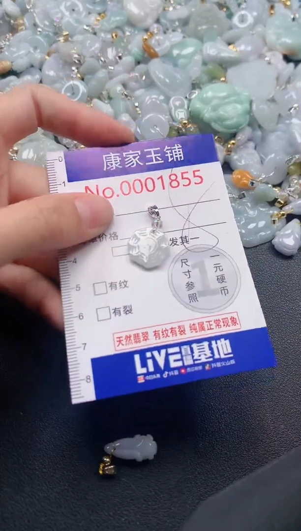 吊坠(不含链)未镶嵌翡翠1855