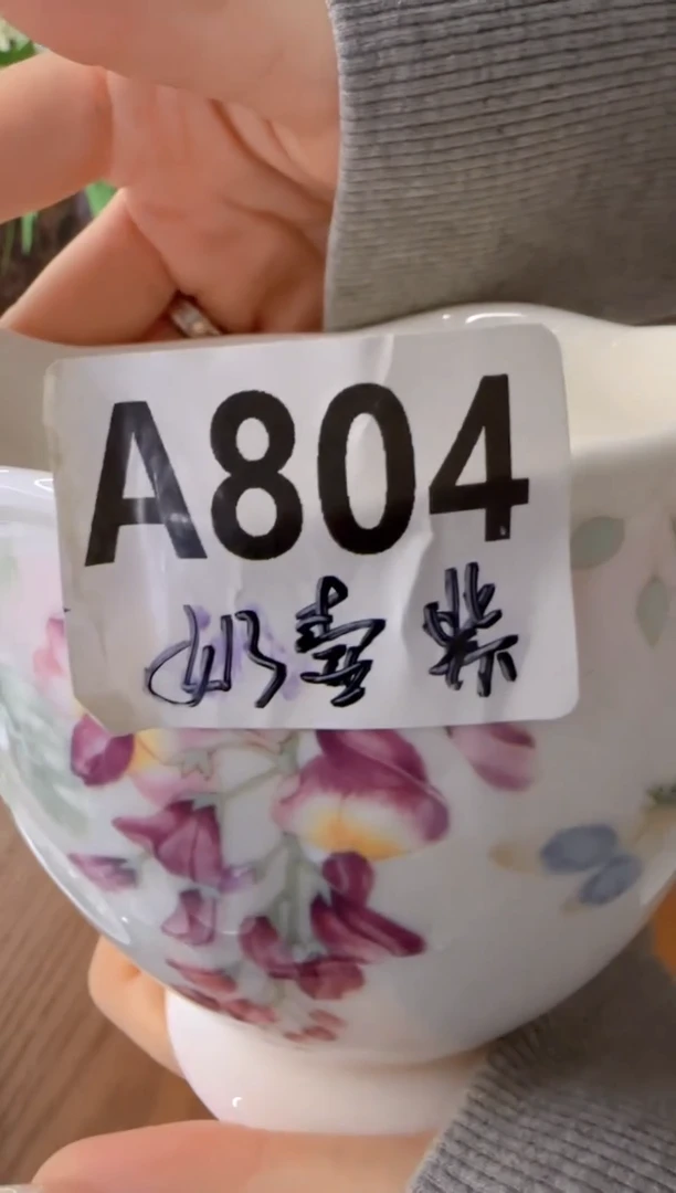 【闪购商品】盘子瓷**************