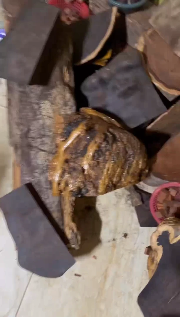 黄花梨/降香黄檀其他2.0*12颗瘤疤