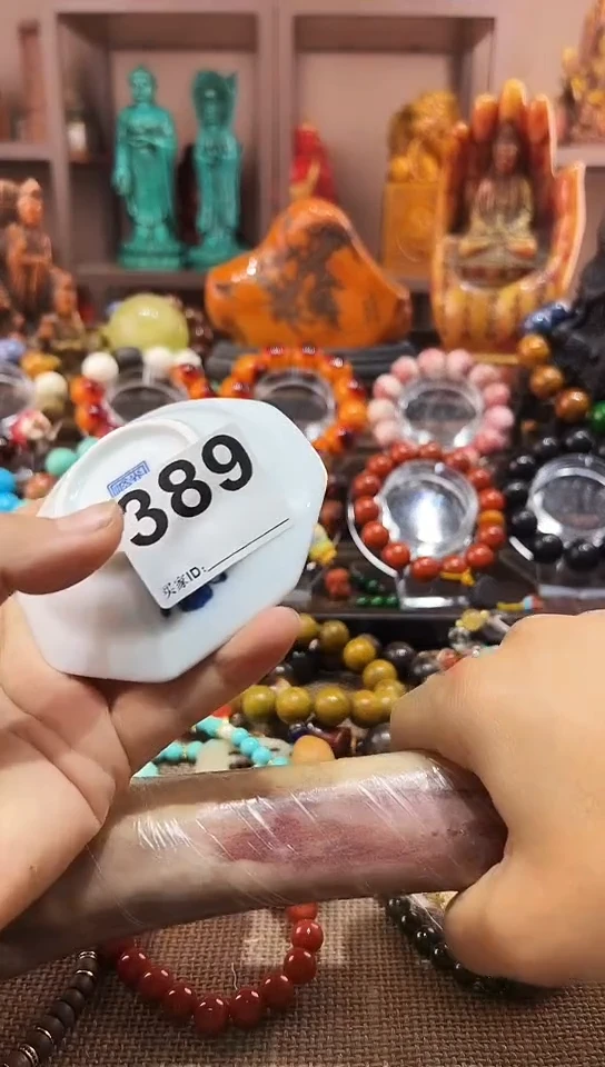 瓷片389