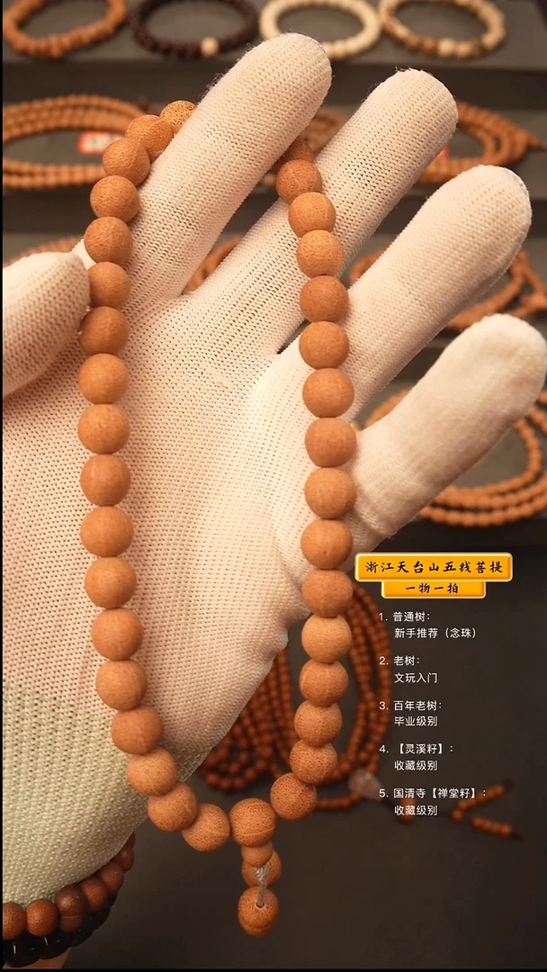 吊坠五线菩提y手持
