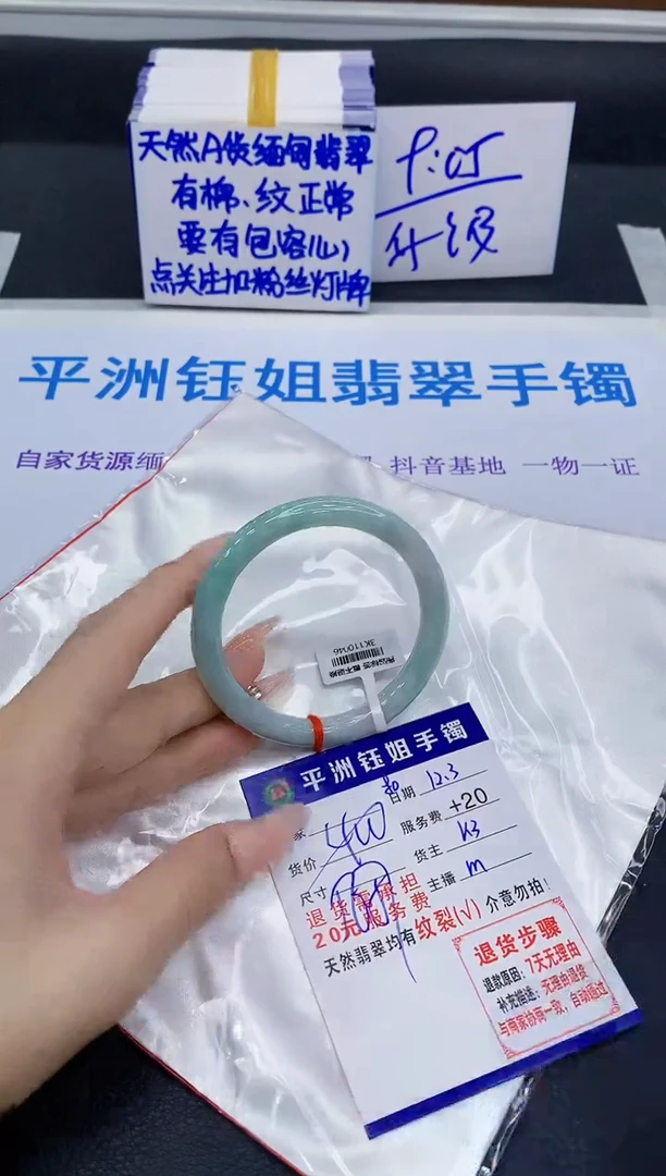 未镶嵌手镯翡翠11111