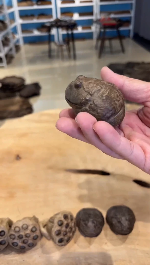 木乌木金丝楠角蛙一只