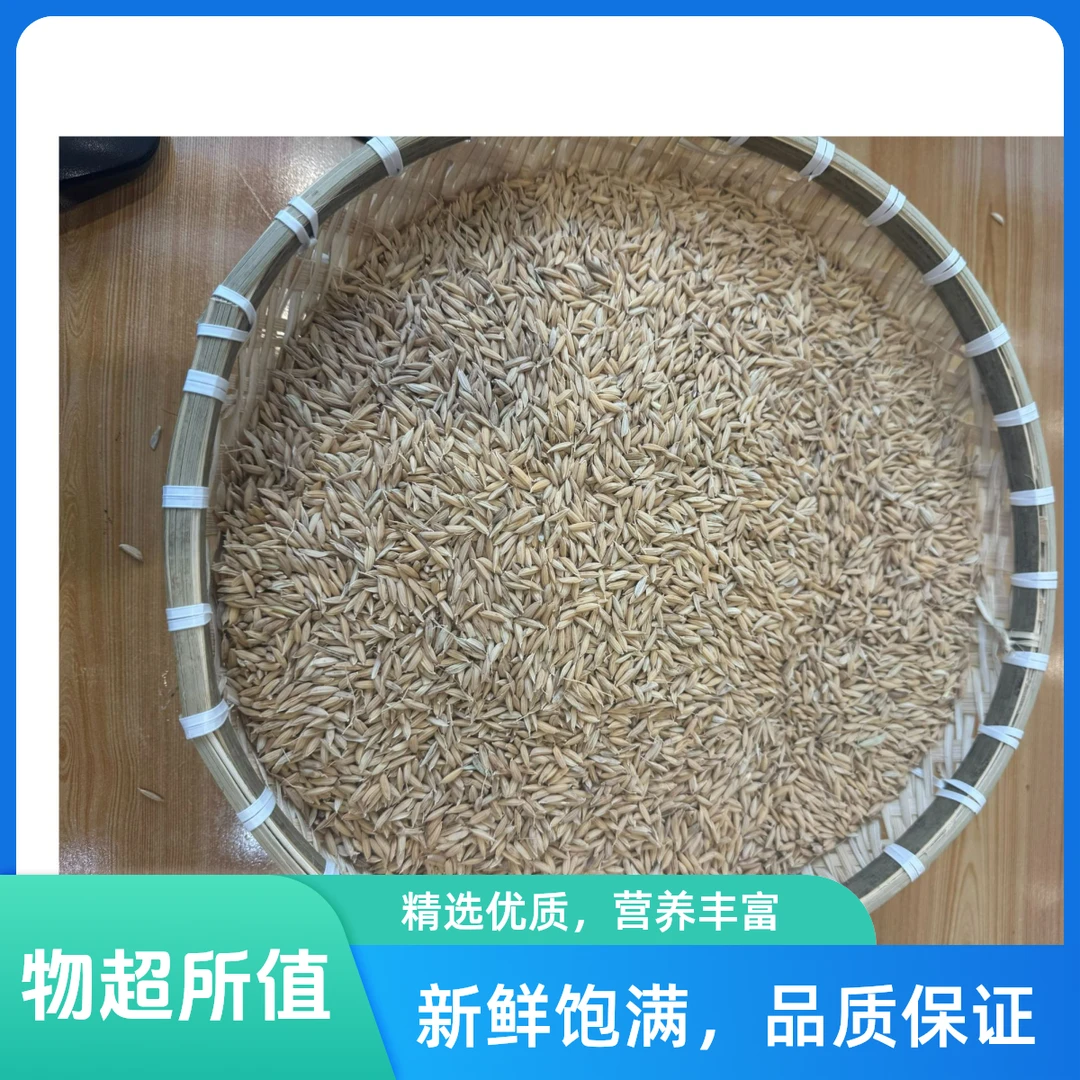 稻谷（正宗黑龙江生态稻谷，现场加工）