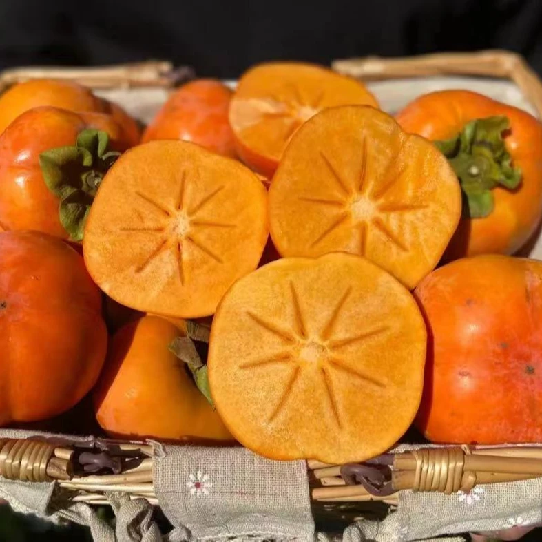 陕西正宗脆柿子脆甜新鲜当季水果12枚礼盒装