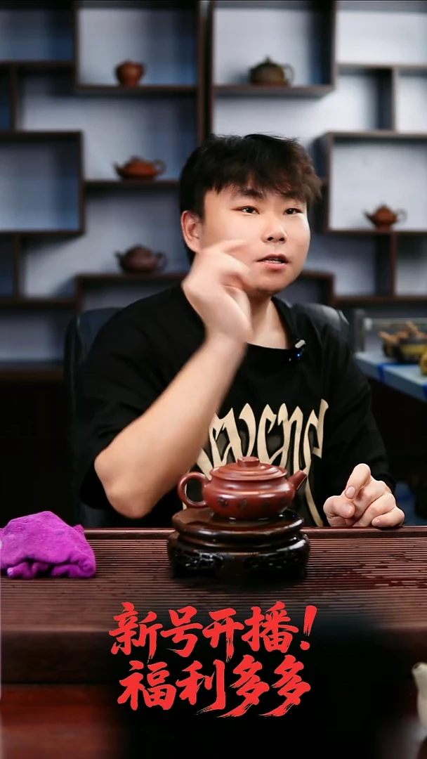 茶壶紫砂88456654