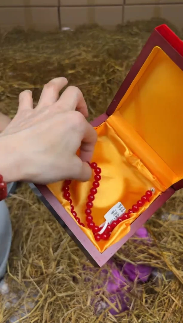 尚品精品手串《无礼盒》