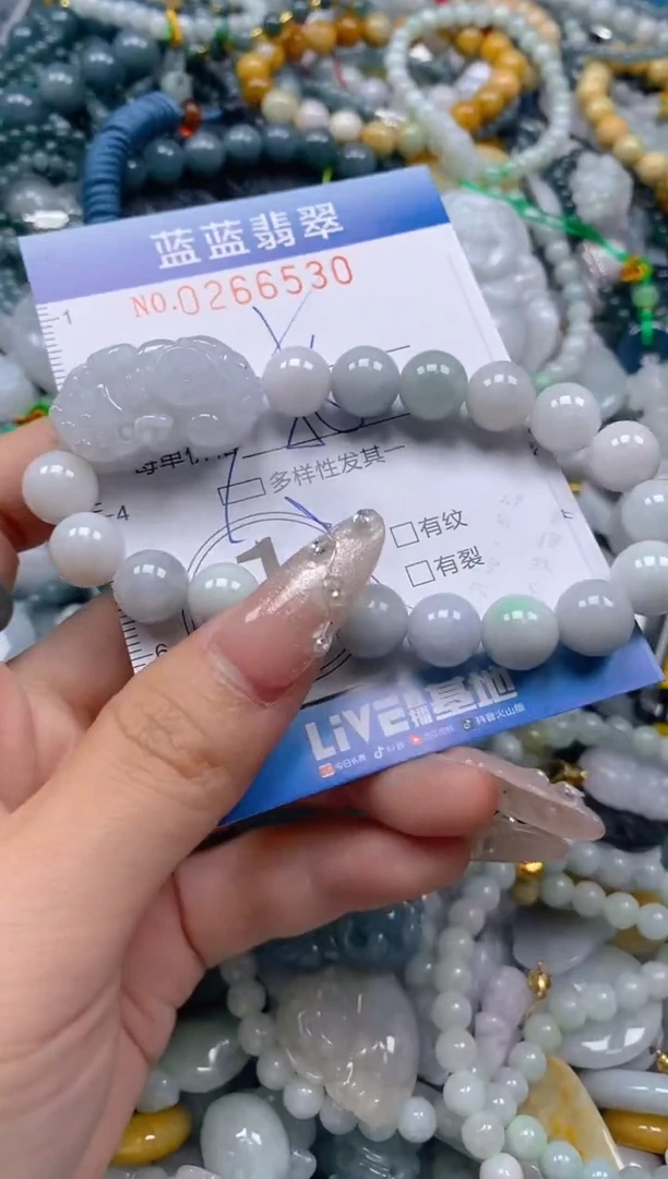 翡翠未镶嵌颈饰闪购0266530多样性发其一