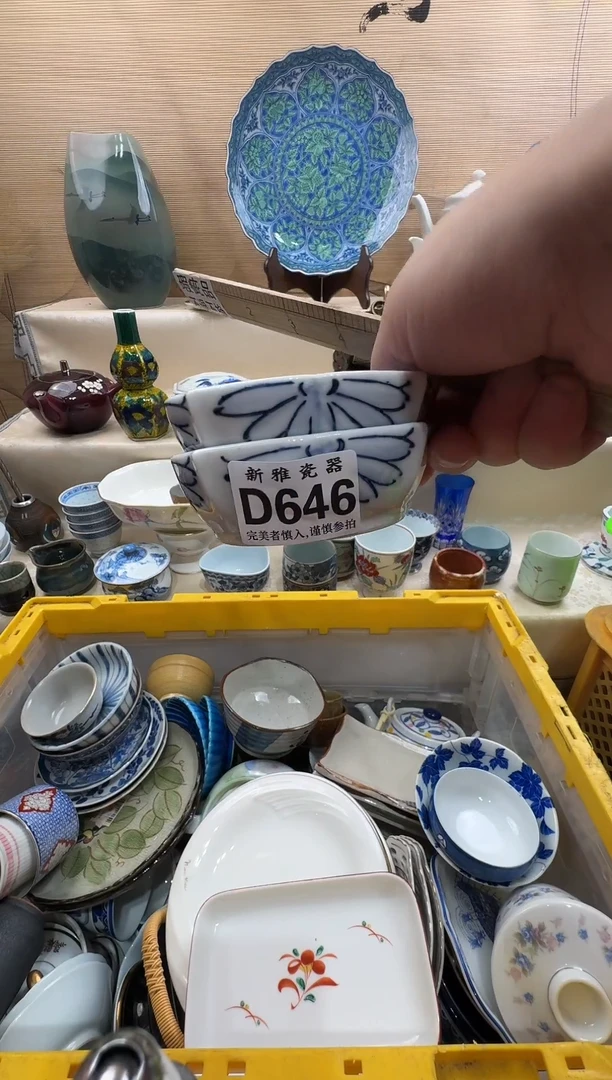 瓷片✨****✨         D646