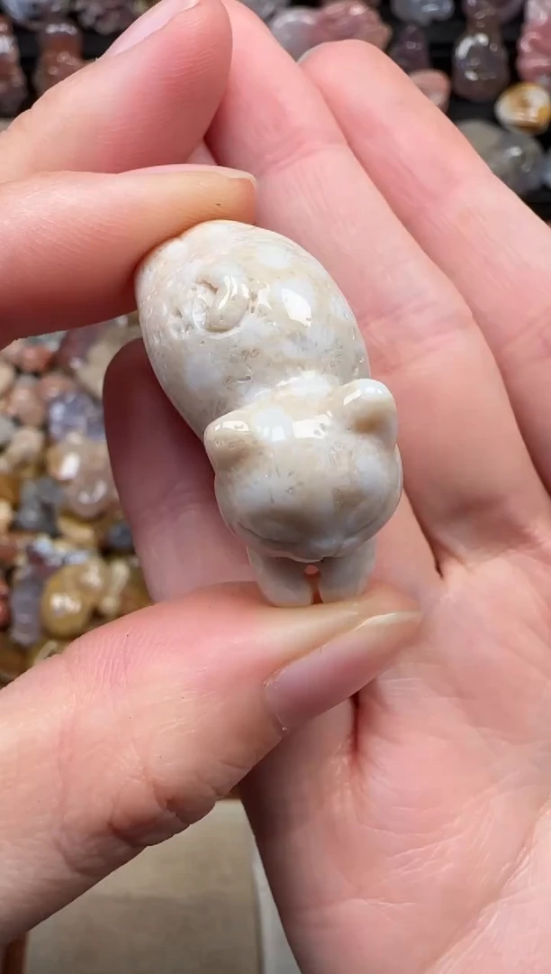 颈饰未镶嵌硅化珊瑚（珊瑚玉）291