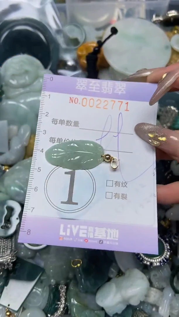 【闪购商品】翡翠颈饰未镶嵌闪购0022771