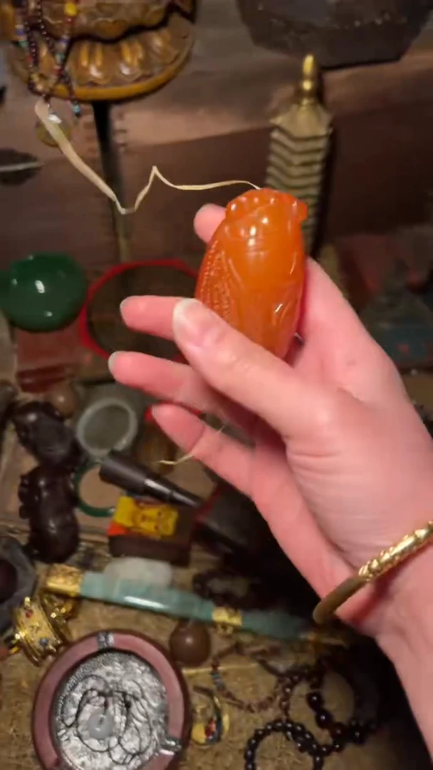 木一一一高端精美福利知了