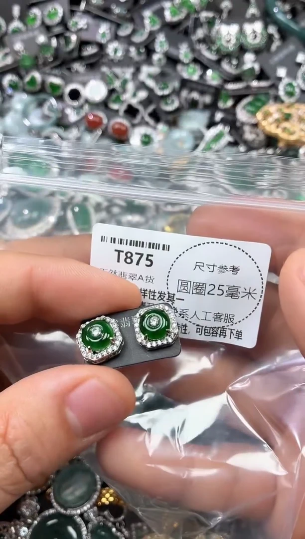 翡翠未镶嵌颈饰T875耳钉