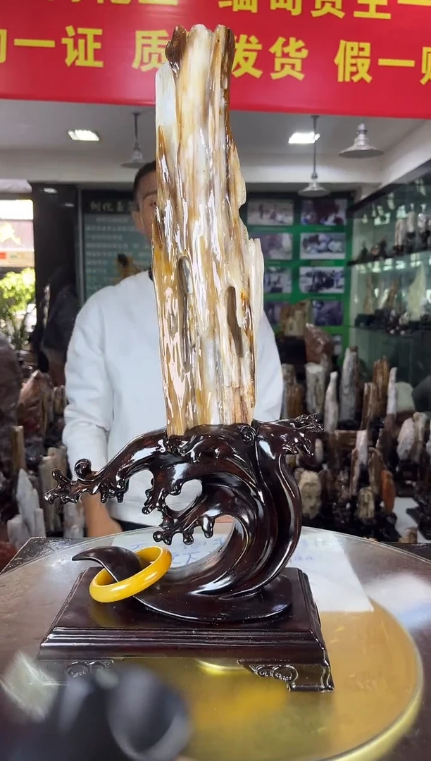 未镶嵌珠宝奇石硅化玉缅甸天然树化玉精品居家摆件