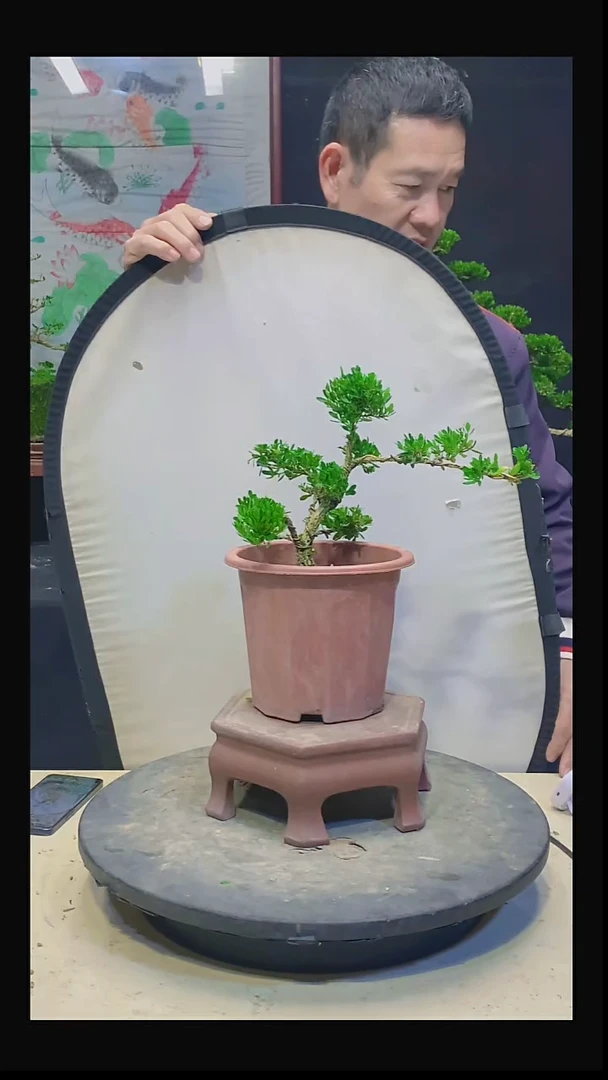 无花朵用****71111111111111