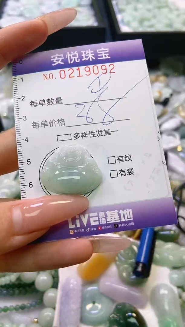翡翠未镶嵌颈饰闪购0219092