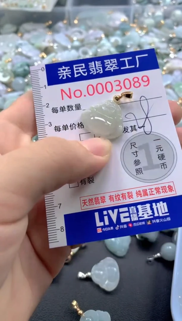 颈饰未镶嵌翡翠3089