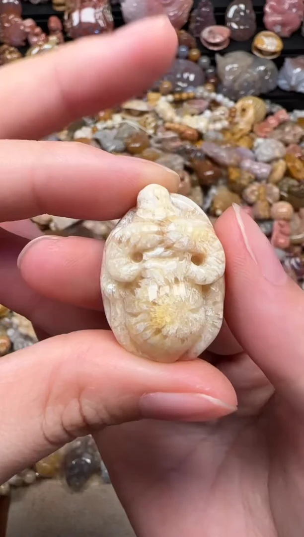 颈饰未镶嵌硅化珊瑚（珊瑚玉）172