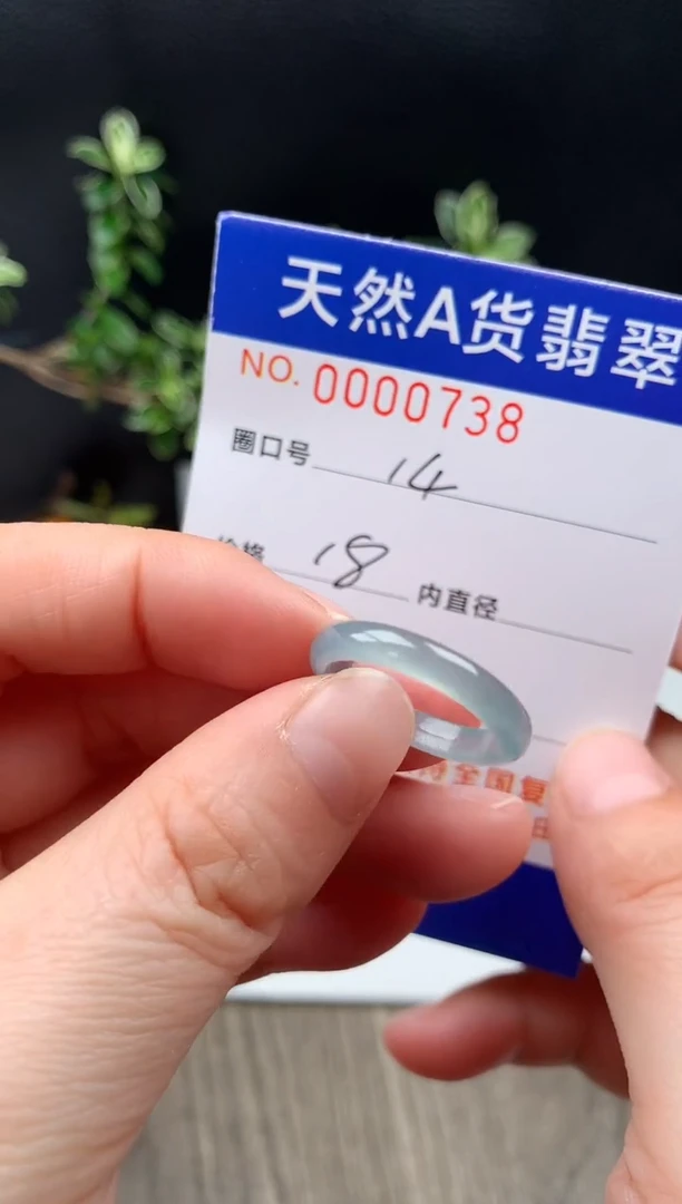 未镶嵌戒指翡翠14#