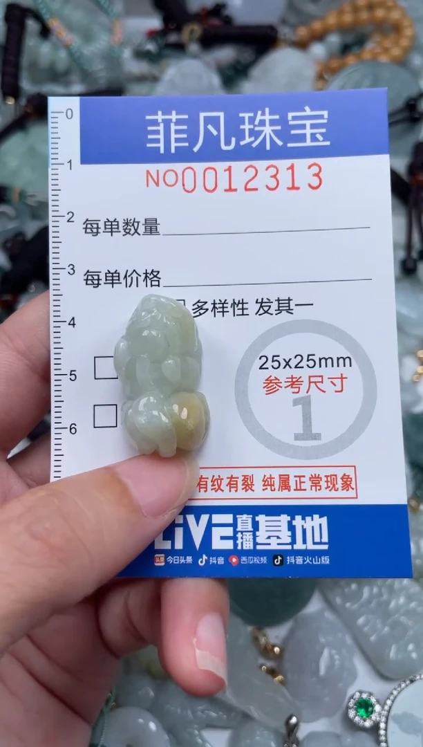 颈饰未镶嵌翡翠12313