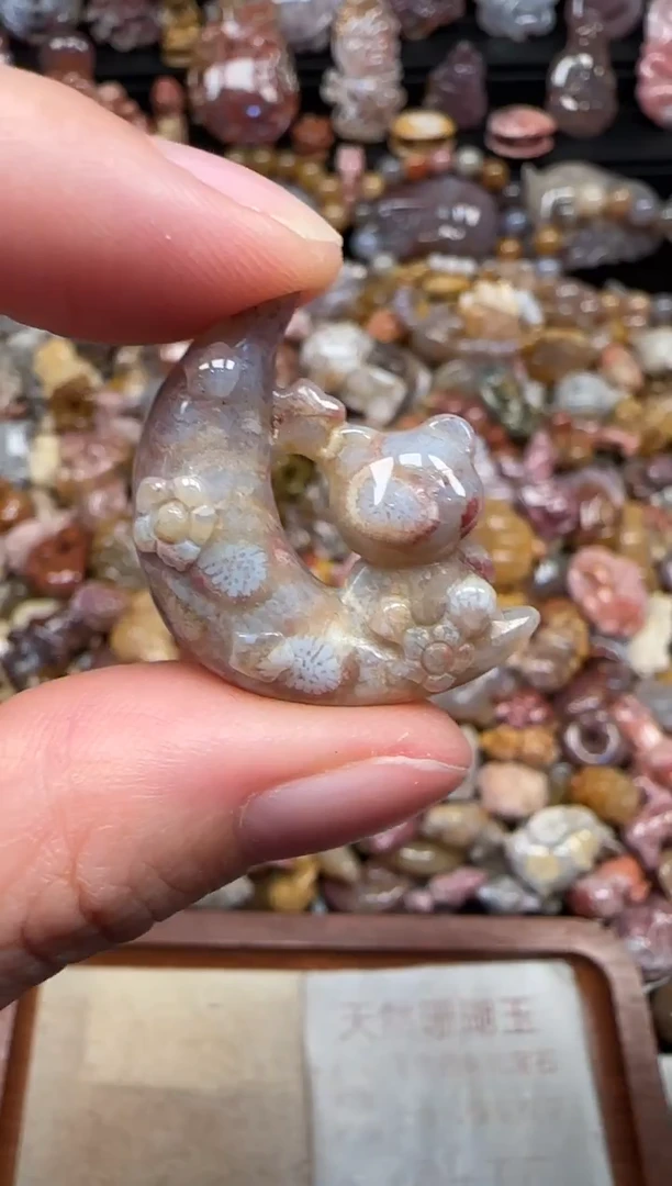 颈饰未镶嵌硅化珊瑚（珊瑚玉）484