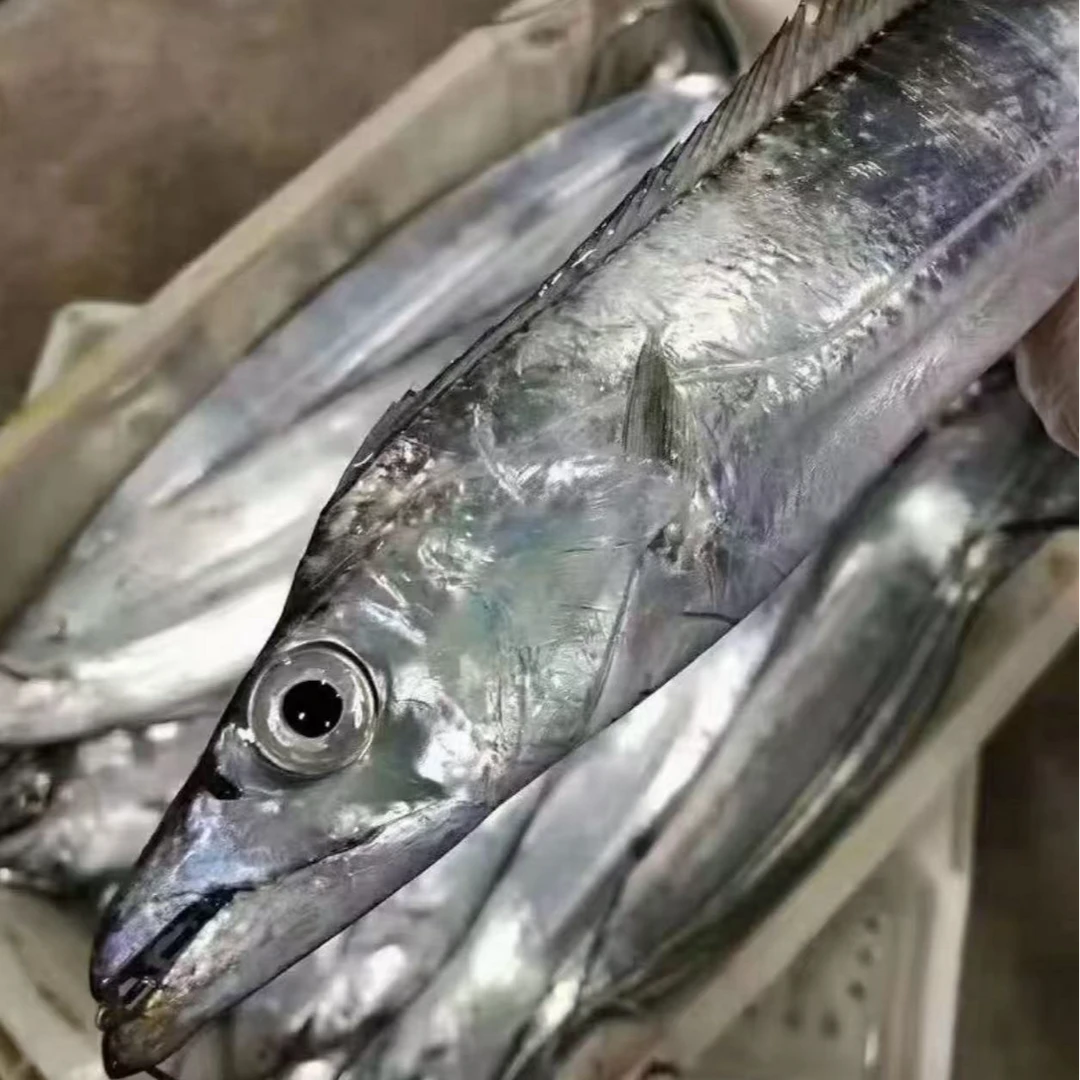 新鲜速冻深海 钓带鱼到手10条