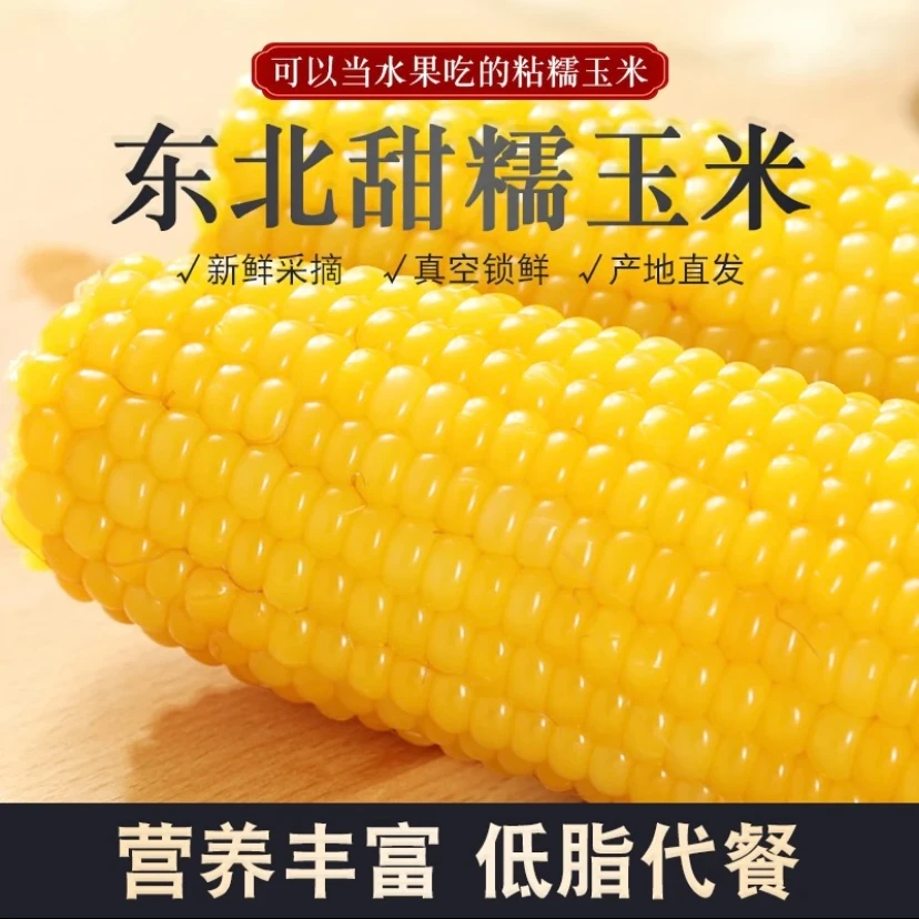 东北黄糯玉米10根整箱 【含试吃两根】粗粮粘糯低脂代餐真空包装