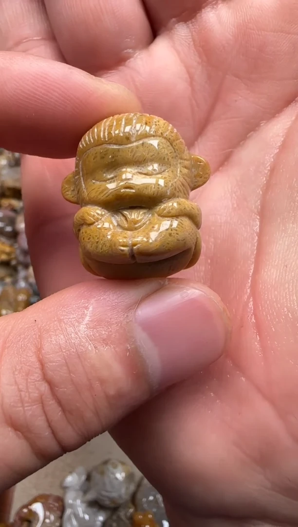 【闪购商品】硅化珊瑚（珊瑚玉）颈饰未镶嵌080