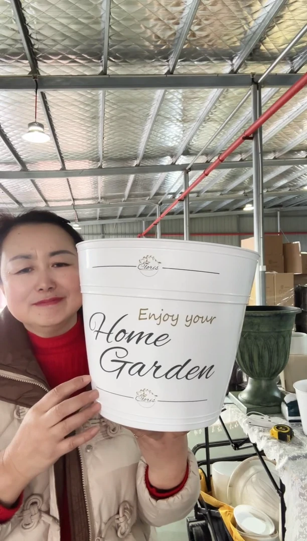 【闪购商品】塑料10寸罗斯玛丽白色印花4只装