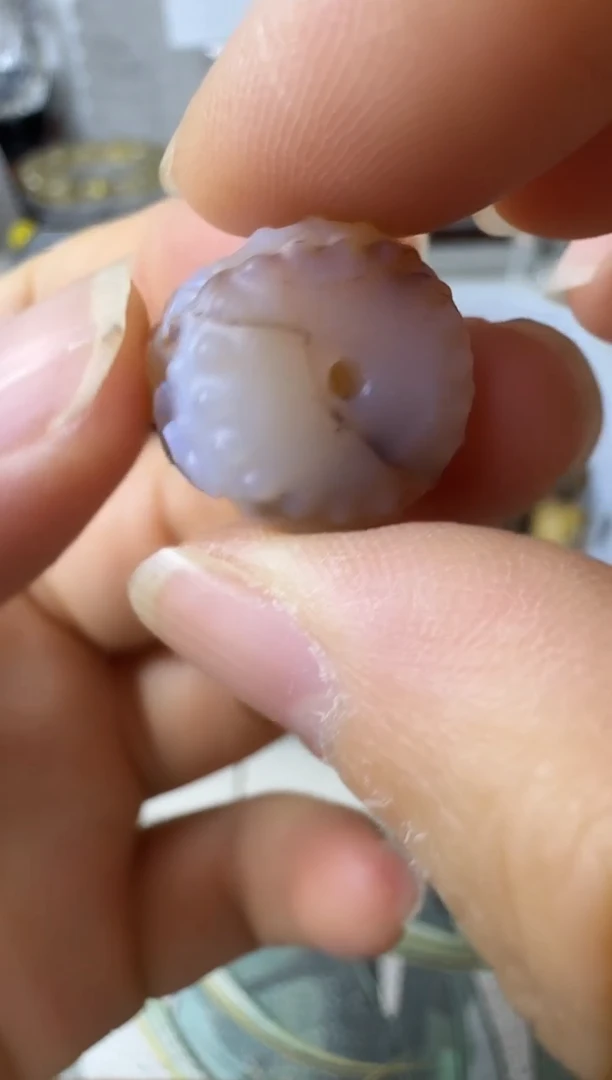 未镶嵌颈饰玛瑙/玉髓34矿坑