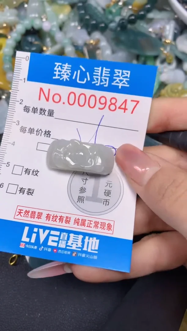 【闪购商品】翡翠颈饰未镶嵌含绳0009847