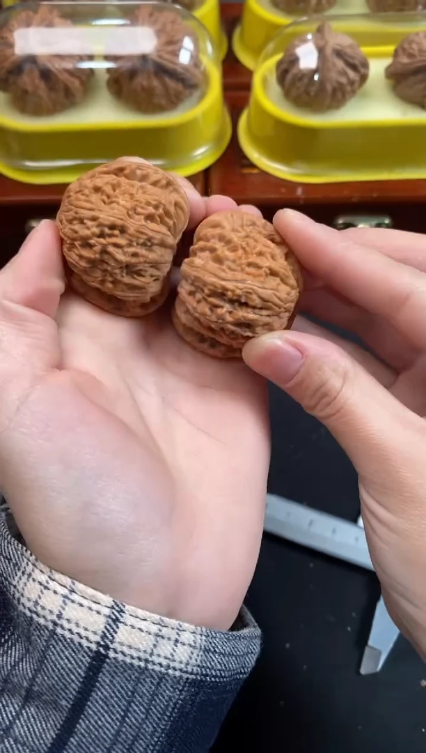 把件文玩核桃白狮子39尺F978