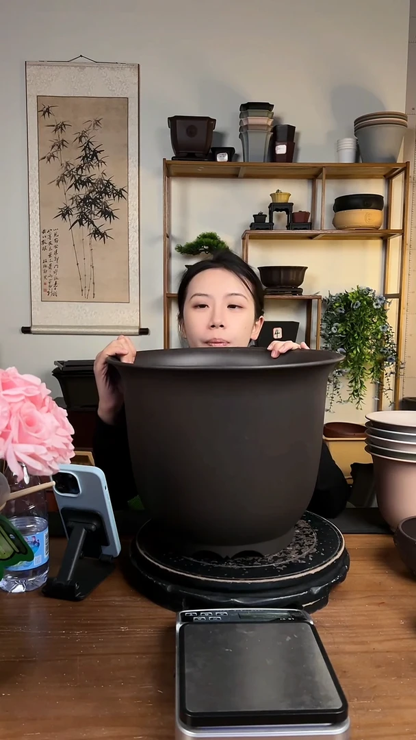 35*27金钟紫檀色2只装