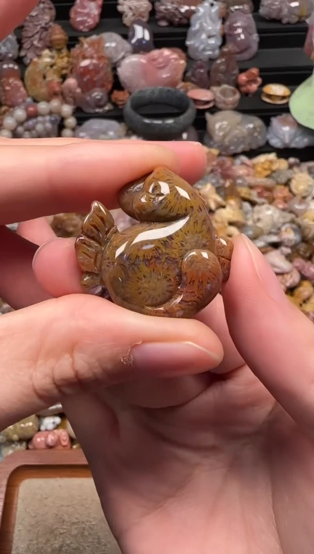 颈饰未镶嵌硅化珊瑚（珊瑚玉）228