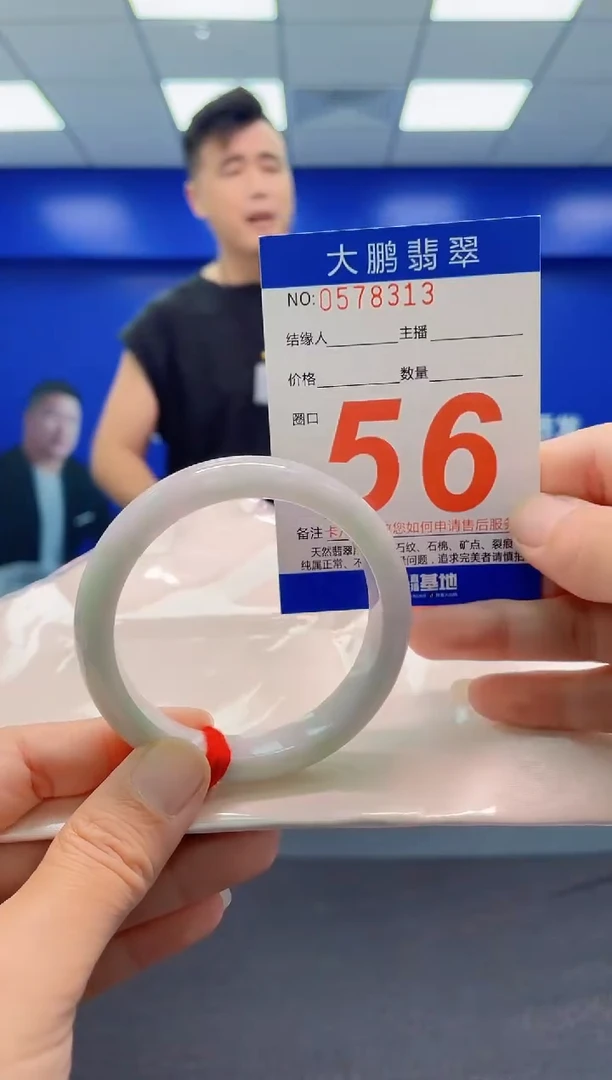 未镶嵌手镯翡翠AAAAAAAAA