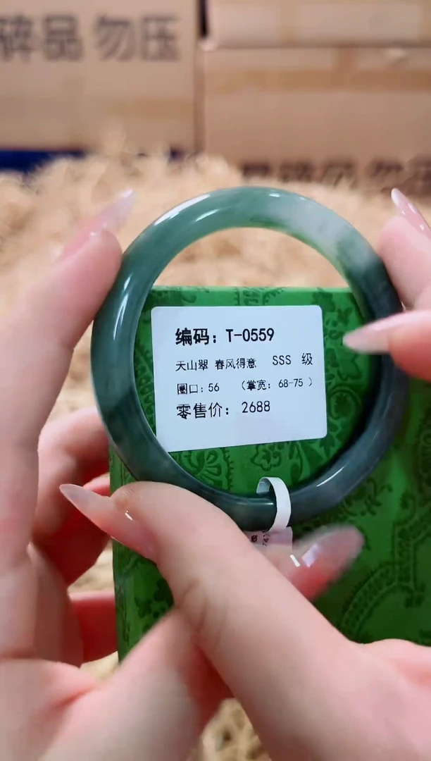 未镶嵌手镯石英质玉T-0559