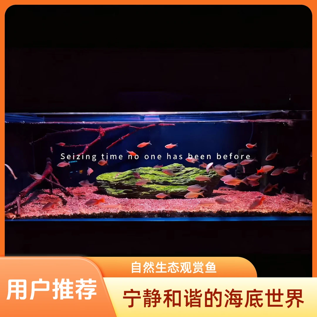 天然沉木水族鱼缸紫柚木爆裂纹镂空造景素材
