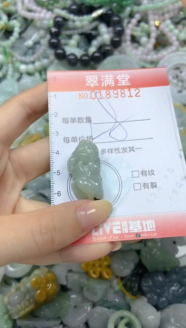 颈饰未镶嵌翡翠闪购0189812